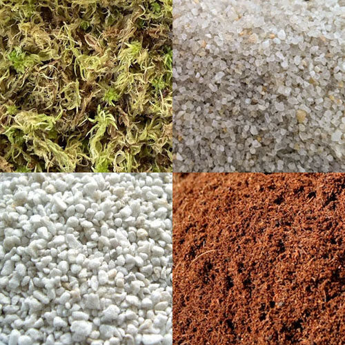 clean Perlite 1 Liter growing media carnivorous plant soil mix