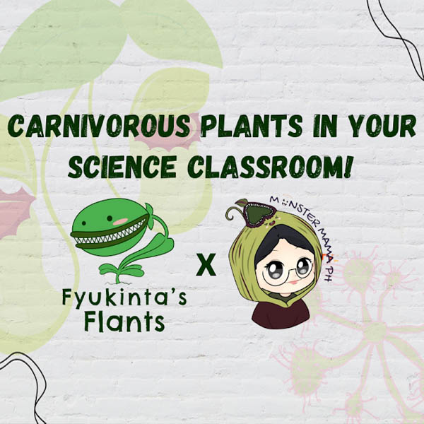 Fyukinta's Flants and Monster Mama PH for Science Month!