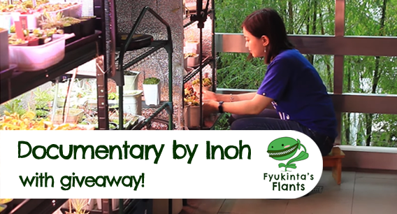 Fyukinta’s Flants Carnivorous Plant Documentary + Giveaway!