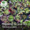 Preparing for your first carnivorous plant
