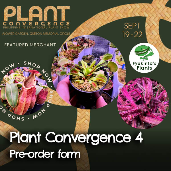 Fyukinta's Flants Plant Convergence Pre-order form